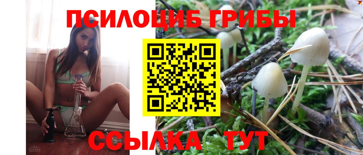 Галлюциногенные грибы мухоморы  Вход с VPN  Южноуральск 